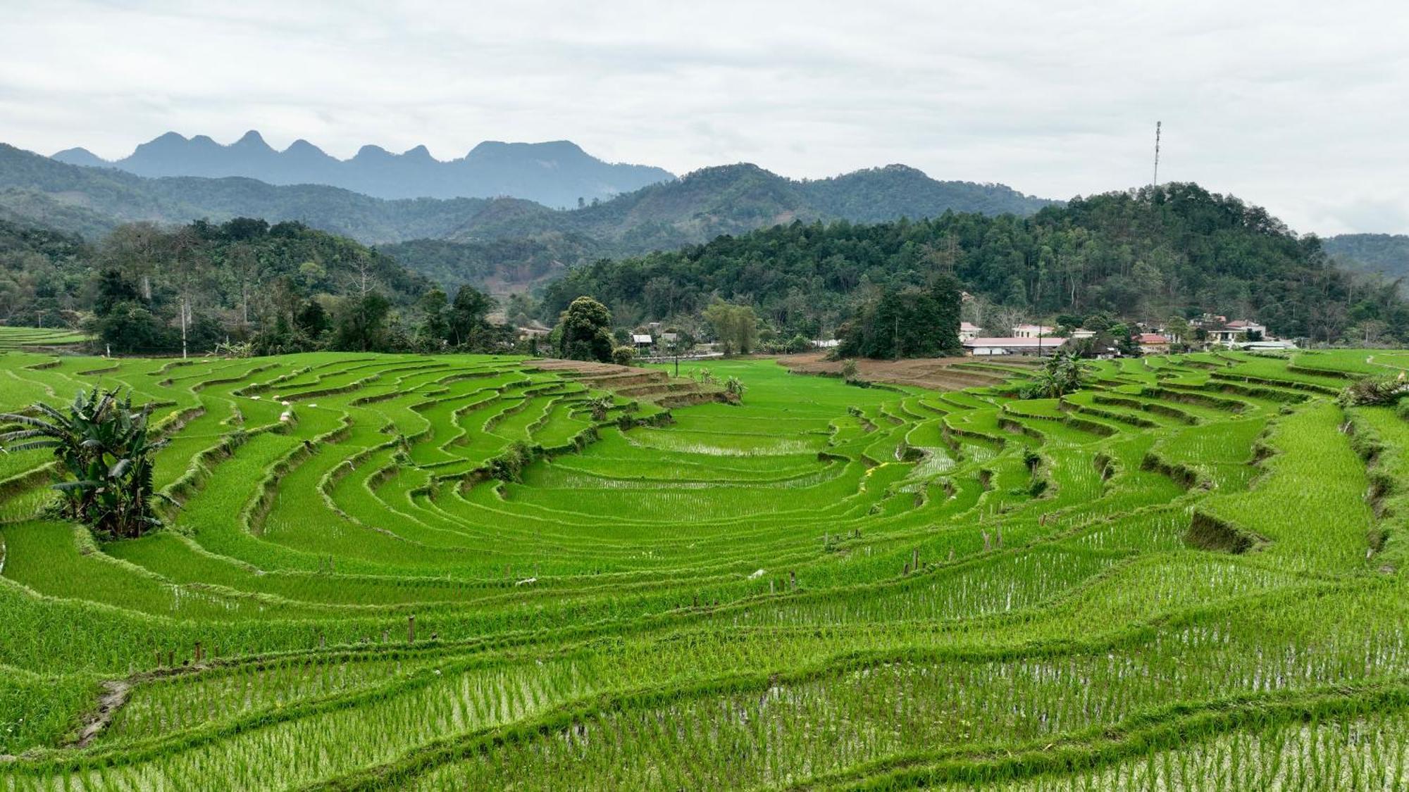 Ferienwohnung Thavill Retreat Hagiang Ha Giang Exterior foto