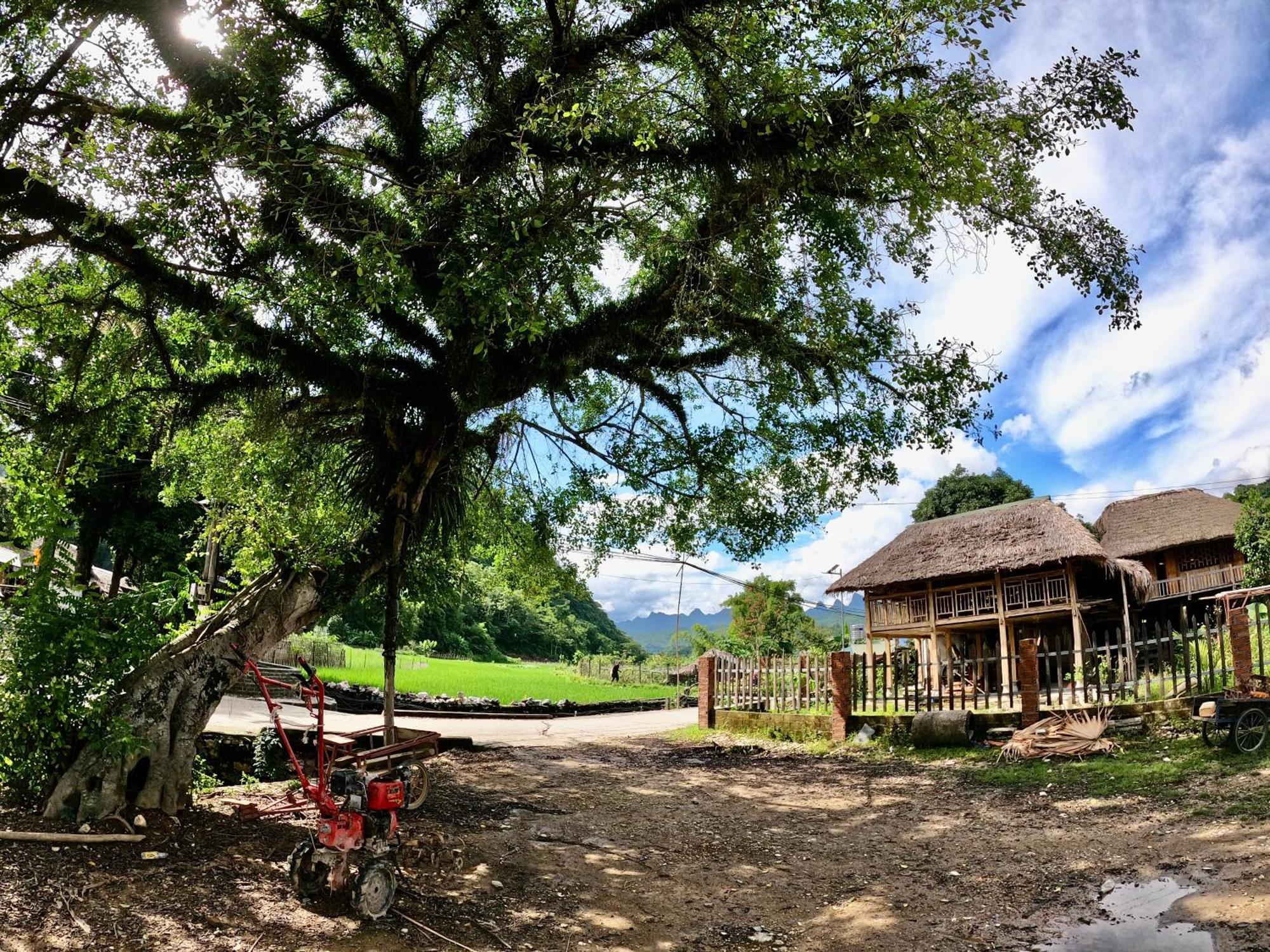Ferienwohnung Thavill Retreat Hagiang Ha Giang Exterior foto